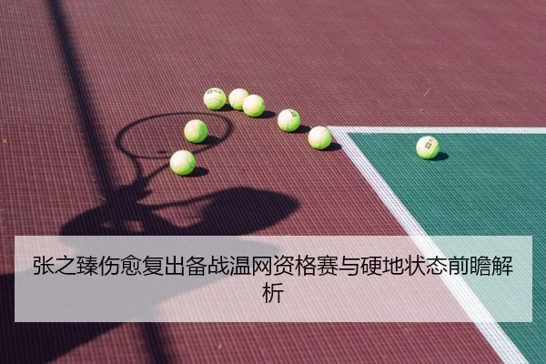 张之臻伤愈复出备战温网资格赛与硬地状态前瞻解析